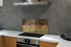 Nástenný panel  Deer Golf svitania 125x50 cm