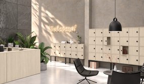 Kancelárska skriňa FRAME, 6x dvere, priestor pre TV, 1299 x 450 x 2162 mm, RFID zámok, dub prírodný