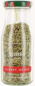 Korenie Rosemary