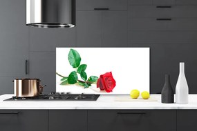Sklenený obklad Do kuchyne Ruže kvet rastlina 125x50 cm