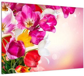Obraz tulipánov (70x50 cm)