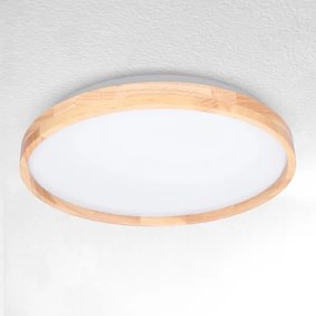 Brilagi - LED Stmievateľné stropné svietidlo ALSON LED/48W/230V 3000-6500K + DO