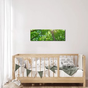 Obraz - Les (s hodinami) (90x30 cm)