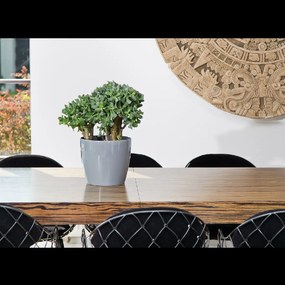 KRYT NA KVETINOVÝ KÔŠ MAGNÓLIA 250 MM ŠEDÝ*72051*