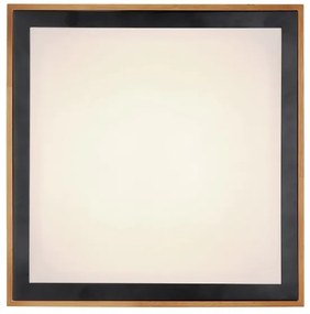 Globo 41764-24Q - LED Stropné svietidlo BRUNO LED/24W/230V 3000/4500/6000K