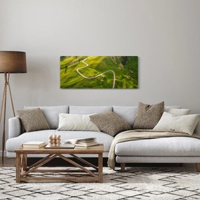 Obraz - Náhorná lúka (120x50 cm)