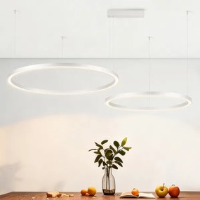 Brilagi - LED stmievateľný luster na lankách PORTOFINO LED/98W/230V strieborný + diaľkové ovládanie