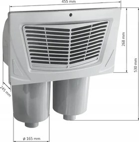 Rising Dragon Skimmer pre vírivku (Double) 1.15.163301