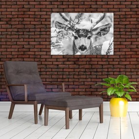 Obraz - Jeleň v zime (90x60 cm)