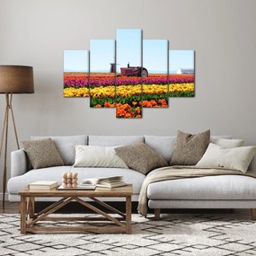 Obraz tulipánové farmy (150x105 cm)