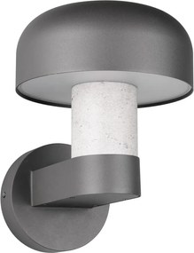 Nástenné vonkajšie svietidlo (výška 24,5 cm) Fraser – Trio