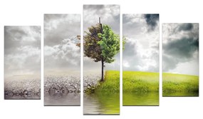 Viacdielny obraz A Tree By The Water110x60 cm