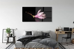 Obraz plexi Kvetina voda 140x70 cm