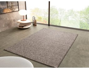 Sivo-béžový koberec 160x230 cm Petra Liso – Universal