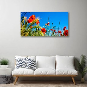 Obraz Canvas Kvety maky pole trávy 140x70 cm