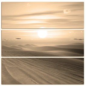 Obraz na plátne - Púštny západ slnka - štvorec. 3917FD (60x60 cm)