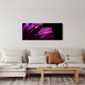 Obraz - Kvapka vody (120x50 cm)