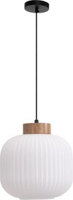 Toolight Toolight, závesné svietidlo sklenené E27 APP1068-CP, biela, OSW-04401