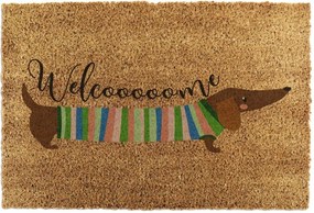 Rohožka z kokosového vlákna 40x60 cm Welcome Sausage Dog – Artsy Doormats