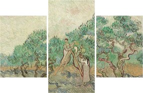 Obraz - Vincent van Gogh, The Olive Orchard, reprodukcia (90x60 cm)