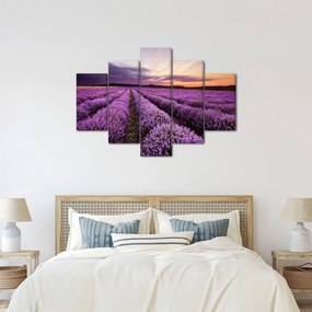 Obraz - Levanduľové pole pri západe slnka (150x105 cm)