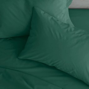 Perkálové obliečky na vankúše v súprave 2 ks 75x50 cm Easy Iron Percale – Catherine Lansfield