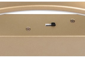 LED stmievateľné stropné svietidlo v zlatej farbe 49x64 cm Darvin – Trio