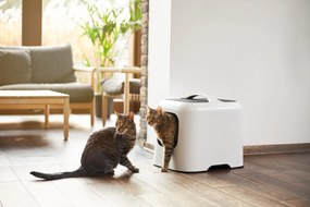 Rotho 2. akosť - Mačacia toaleta, krytý záchod pre mačky s lopatkou CAT XL - béžová