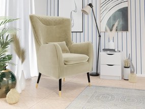 Čalúnené kreslo Arisean, Dostupné poťahy: Magic Velvet 2201