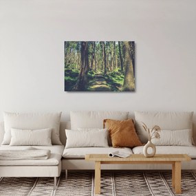 Sklenený obraz cesty medzi stromami (70x50 cm)