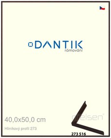 DANTIK rám na obraz 40x50 | ALU Dýha wenge tmavá (Plexi Čiré)