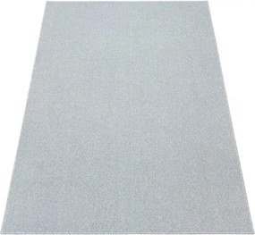 Koberec BRASIL 5222 svetlosivý