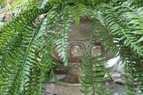 Krémovo zlatá zámocká nádoba 42cm