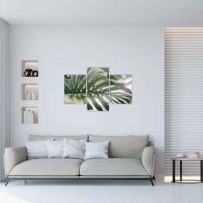 Obraz - List monštier (90x60 cm)