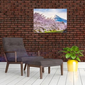 Obraz - Japonsko na jar (70x50 cm)