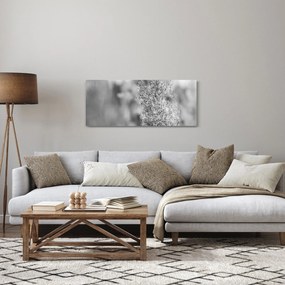 Obraz - Boho pampas grass (120x50 cm)