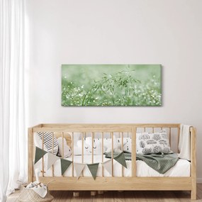 Obraz - Ranná rosa na steblach trávy (120x50 cm)