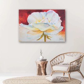 Gario Obraz na plátne Biely kvet pivonky Rozmery: 60 x 40 cm