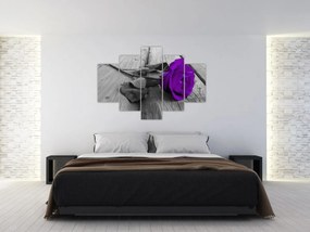 Obraz - Fialová ruža so zelenou stonkou (150x105 cm)
