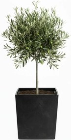 PLASTOVÝ KVETINÁČ FLORE 41X39,5X39,5 CM IMITÁCIA BETÓNU ČIERNA