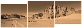 Obraz na plátne - Cesta v púšti - panoráma 5129FE (120x40 cm)