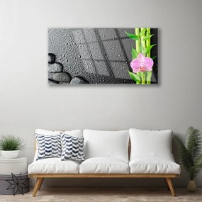 Obraz plexi Bambus stonka kvet rastlina 100x50 cm