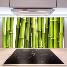 Sklenený obklad Do kuchyne Bambus rastlina príroda 140x70 cm