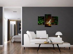 Obraz spa vecí (90x60 cm)