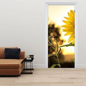 Fototapeta na dvere - Slnečnica (95x205cm)