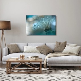 Obraz - Púpava - petrolej (90x60 cm)