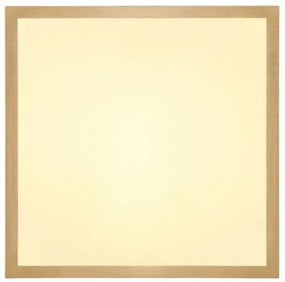 Globo 12382-15 - LED Stropné svietidlo TIBEY LED/15W/230V 25x25 cm