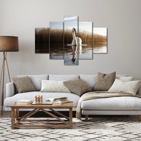 Obraz labute (150x105 cm)