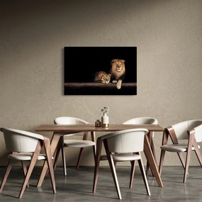 Obraz - Lev a levice (90x60 cm)