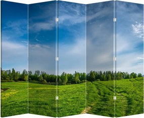 Paraván - Lúka (210x170 cm)